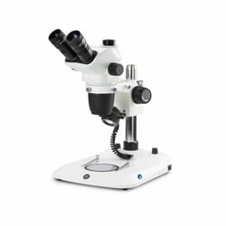 Euromex - NexiusZoom (EVO) - Trinoculair - Kolom statief