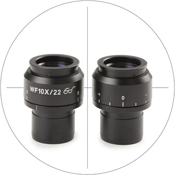 Euromex - 10x/22 oculair met kruisdraad - NexiiusZoom