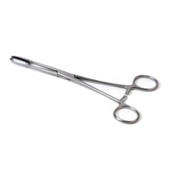 Koorntang - Gross Maier - 25 cm - recht