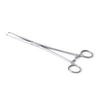 Haaktang of Kogeltang - Schroeder Pozzi - 25 cm