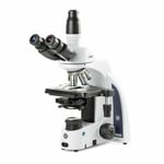 Euromex - iScope Biowetenschappen - Plan Phase - Trinoculaire Micrscoop