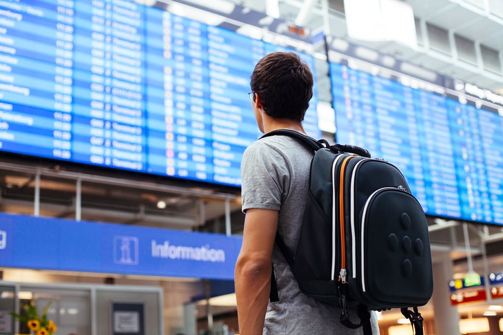 Digital signage – what is it? How to choose the best solutions? Screen supplier’s guide