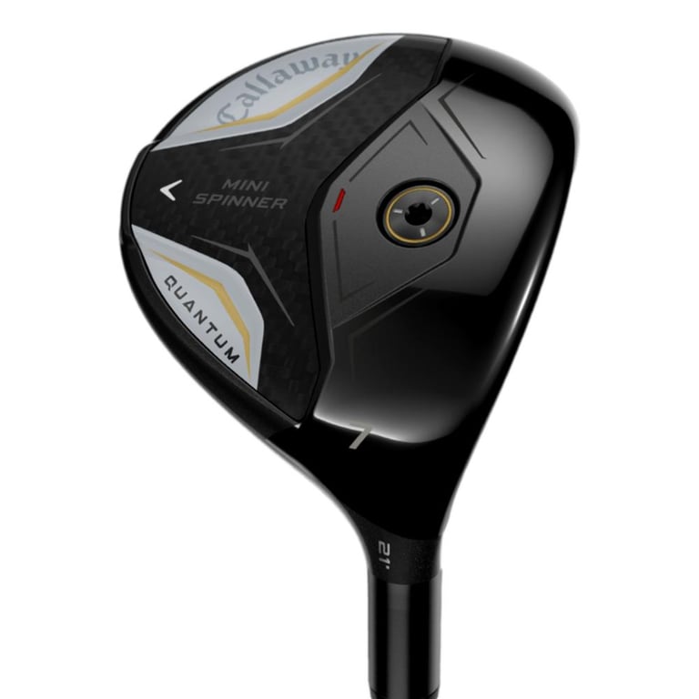 Quantum Mini Spinner Fairway