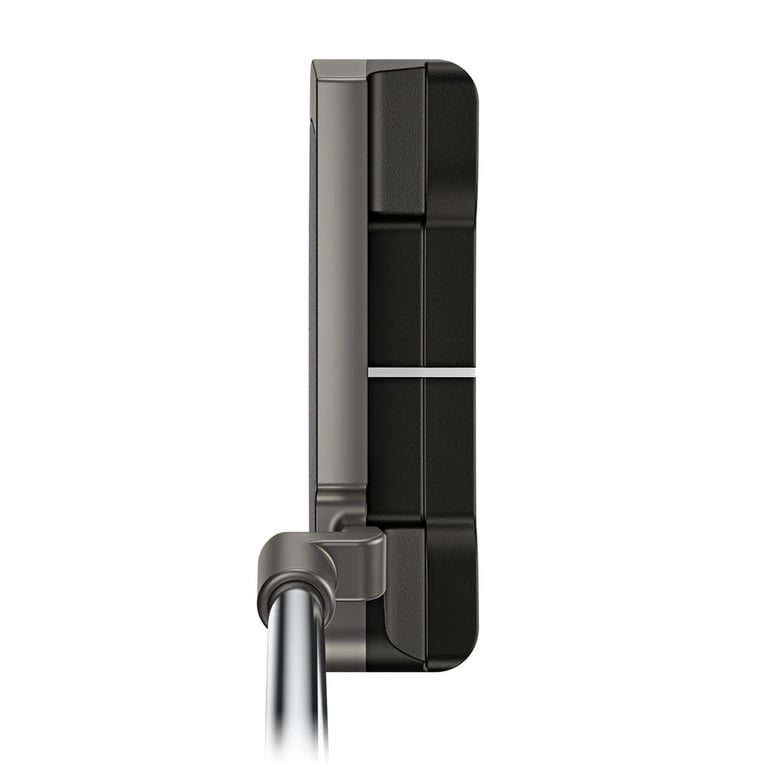 Scottsdale Anser