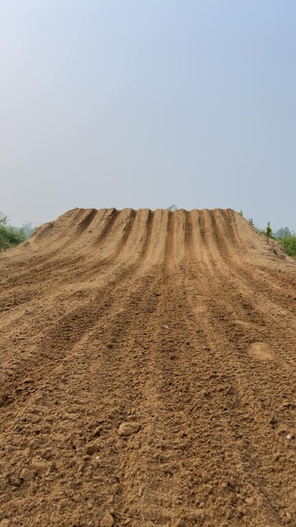 MX Track