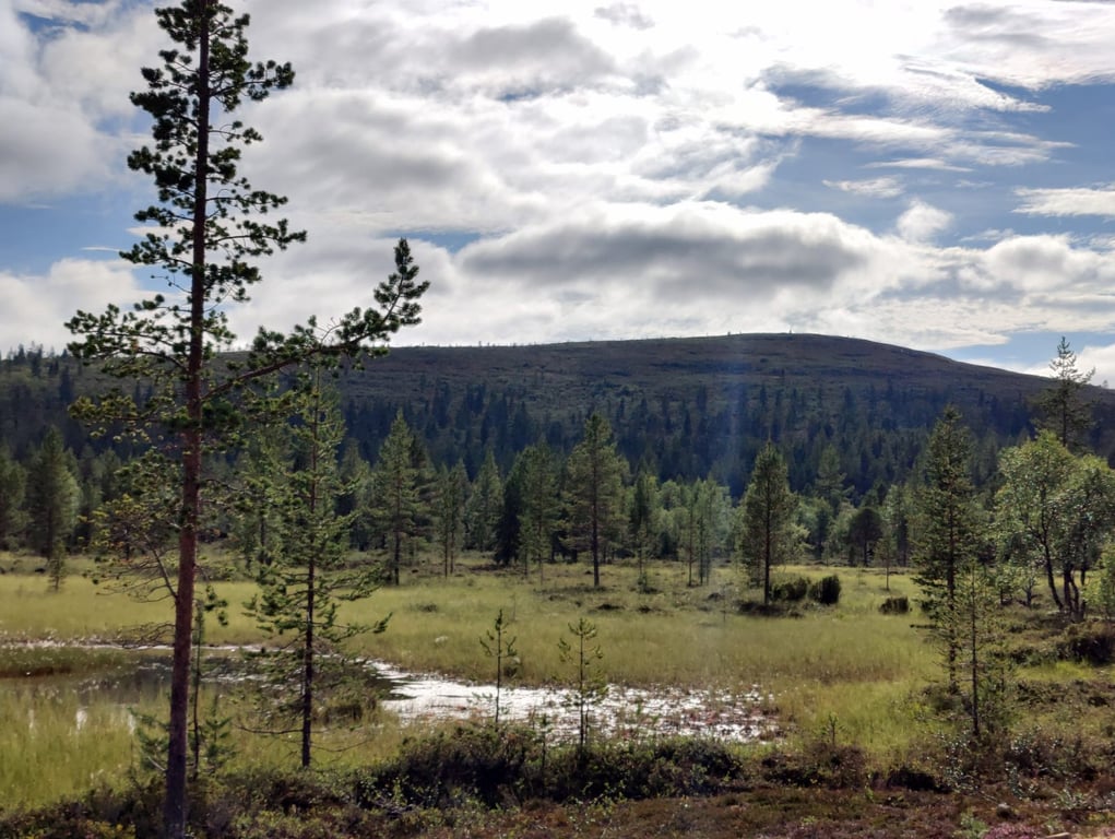 Saariselkä Urho Kekkonen NP