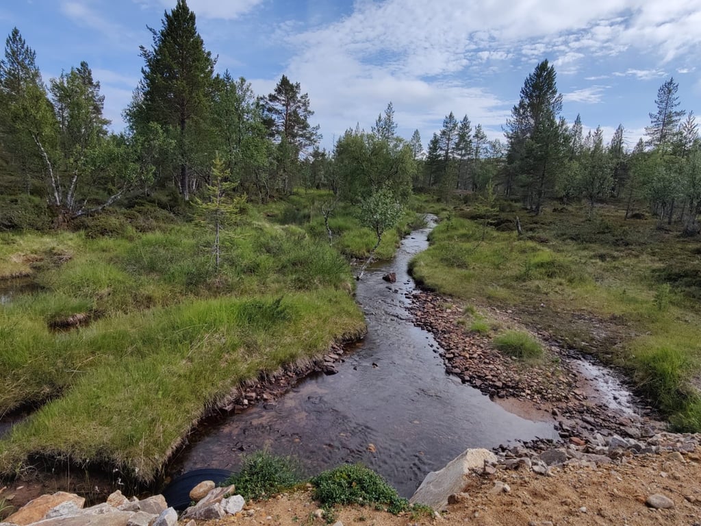 Saariselkä Urho Kekkonen NP