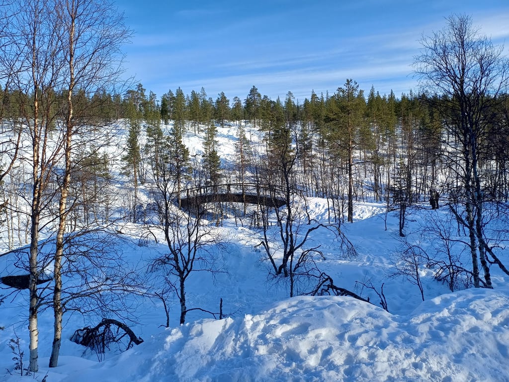 Saariselkä Urho Kekkonen NP