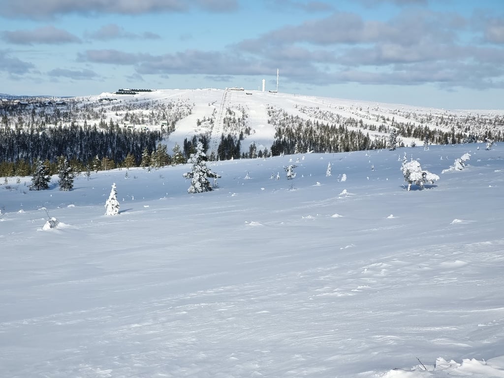 Saariselkä Urho Kekkonen NP