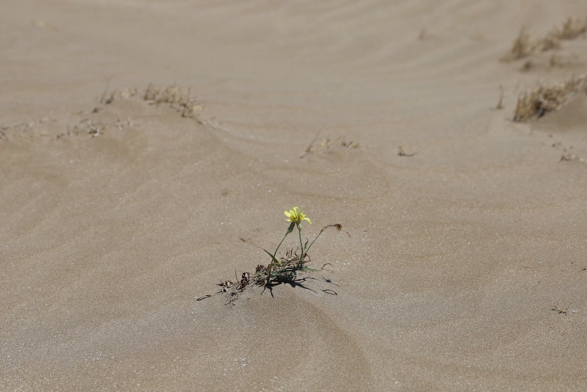 Absheron National Park