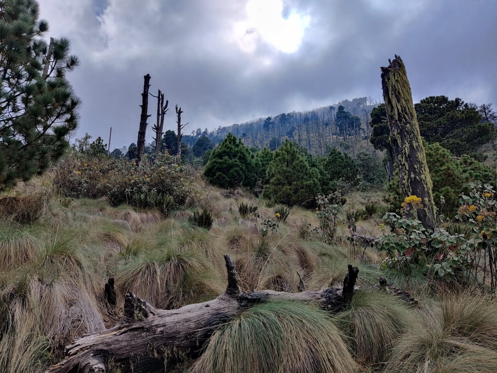 Acatenango Volcano