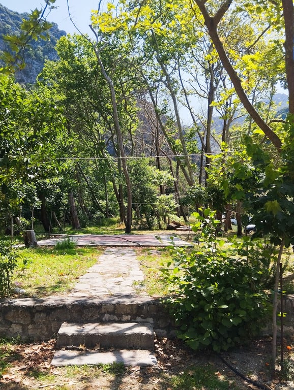 Acheron River Springs