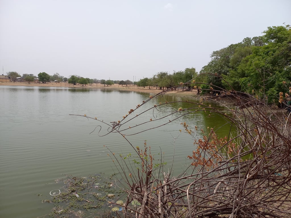 Sacred Crocodile Pond