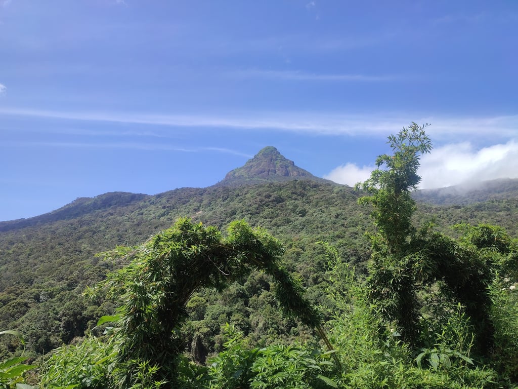 Adam’s Peak