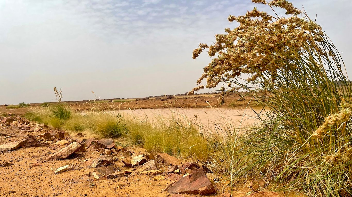 Adrar des Ifoghas
