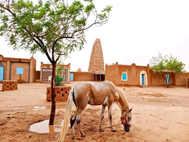 Agadez Grand Mosque