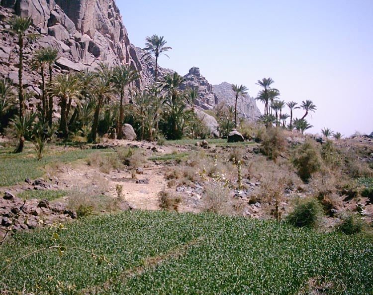Aïr Mountains