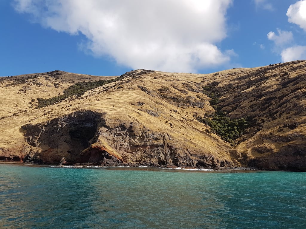 Akaroa Harbor