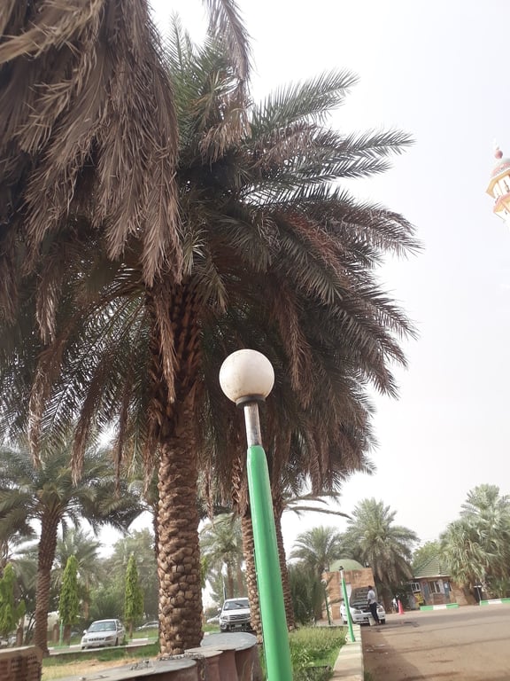Al-Shaeed