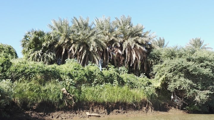 Al-Mogran Family Park
