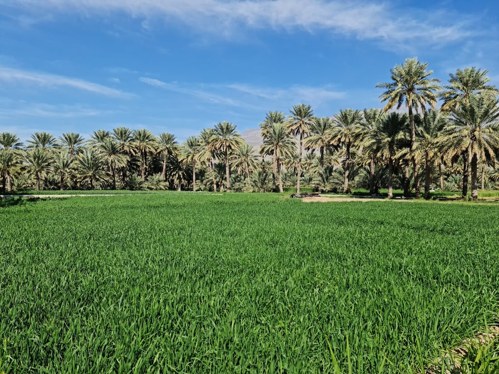 Al Hamra Old Village