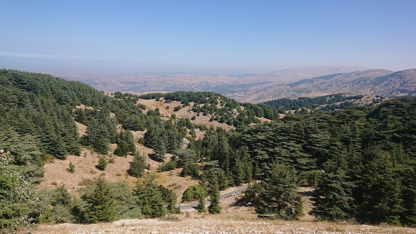 Al Shouf Cedar Reserve