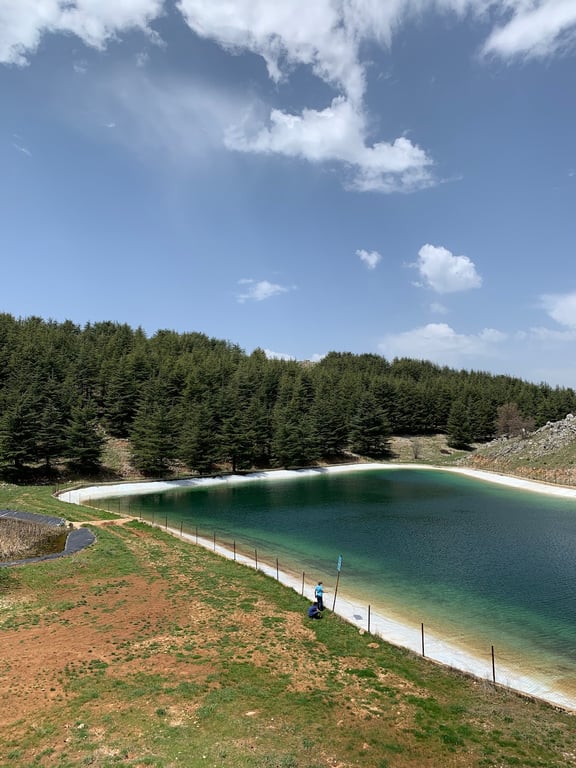 Al Shouf Cedar Reserve