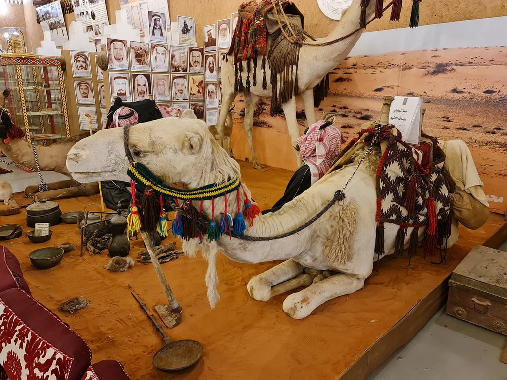 Al Oqilat Museum