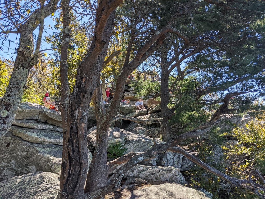 Bald Rock Trail Boardwalk