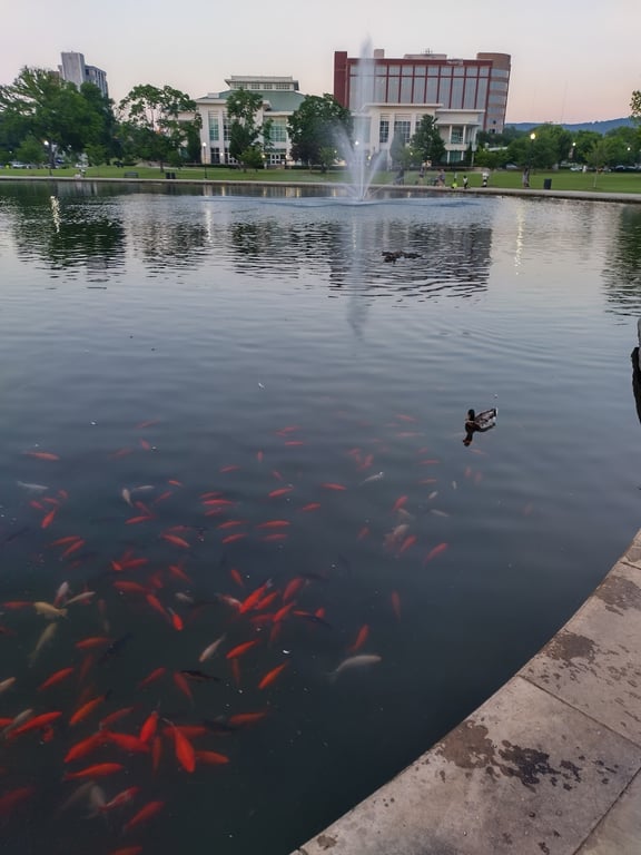 Big Spring International Park