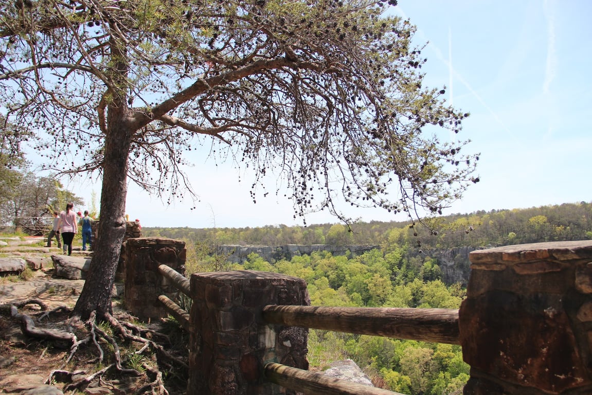 Canyon Rim Scenic Drive