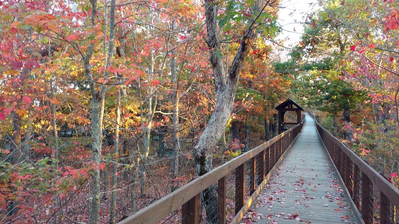 Cheaha Skyway
