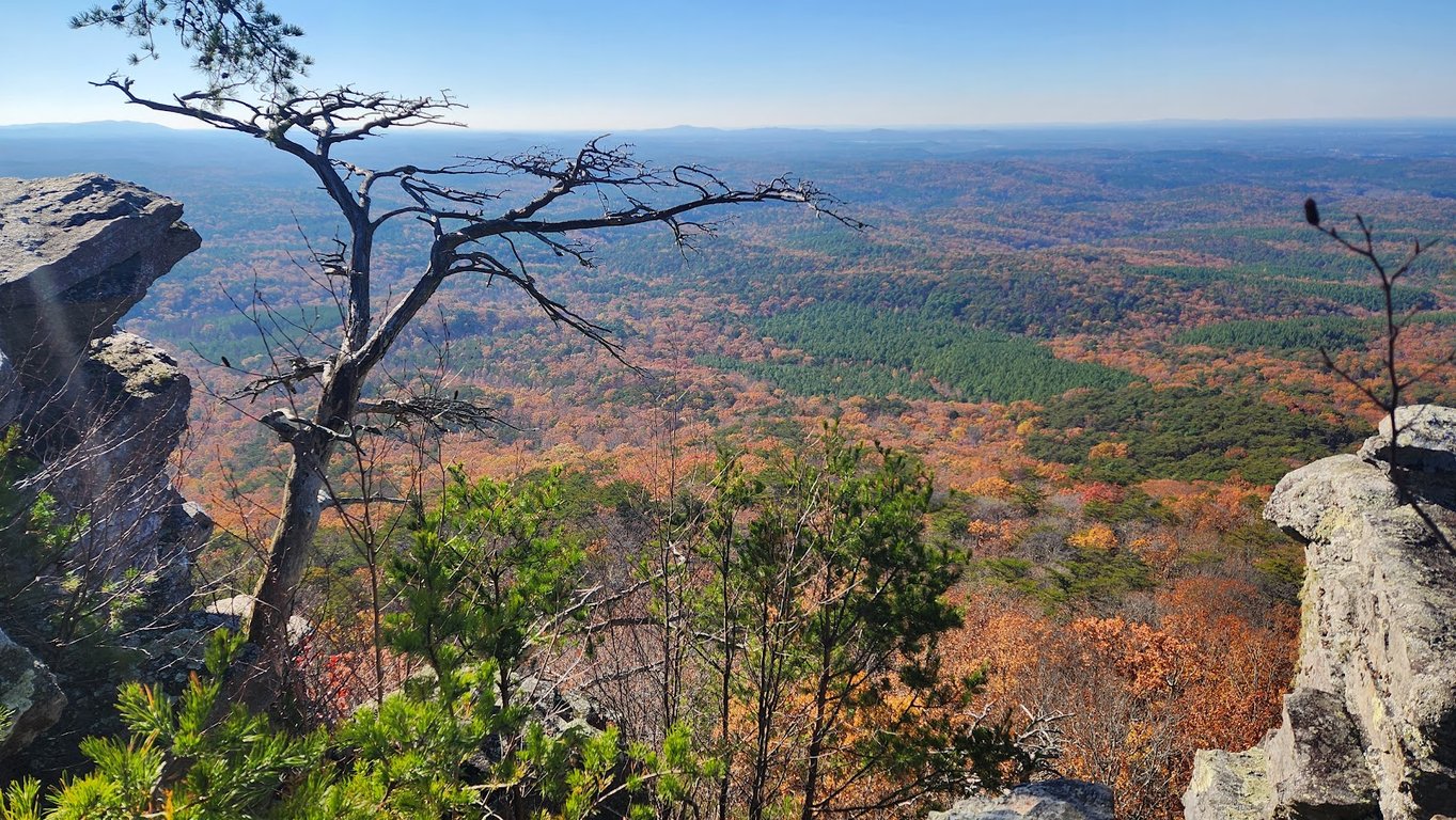 Cheaha Skyway