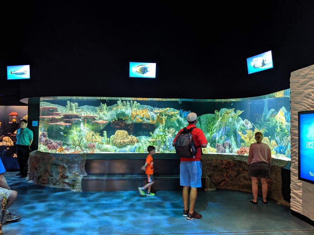 Cook’s Natural Science Museum