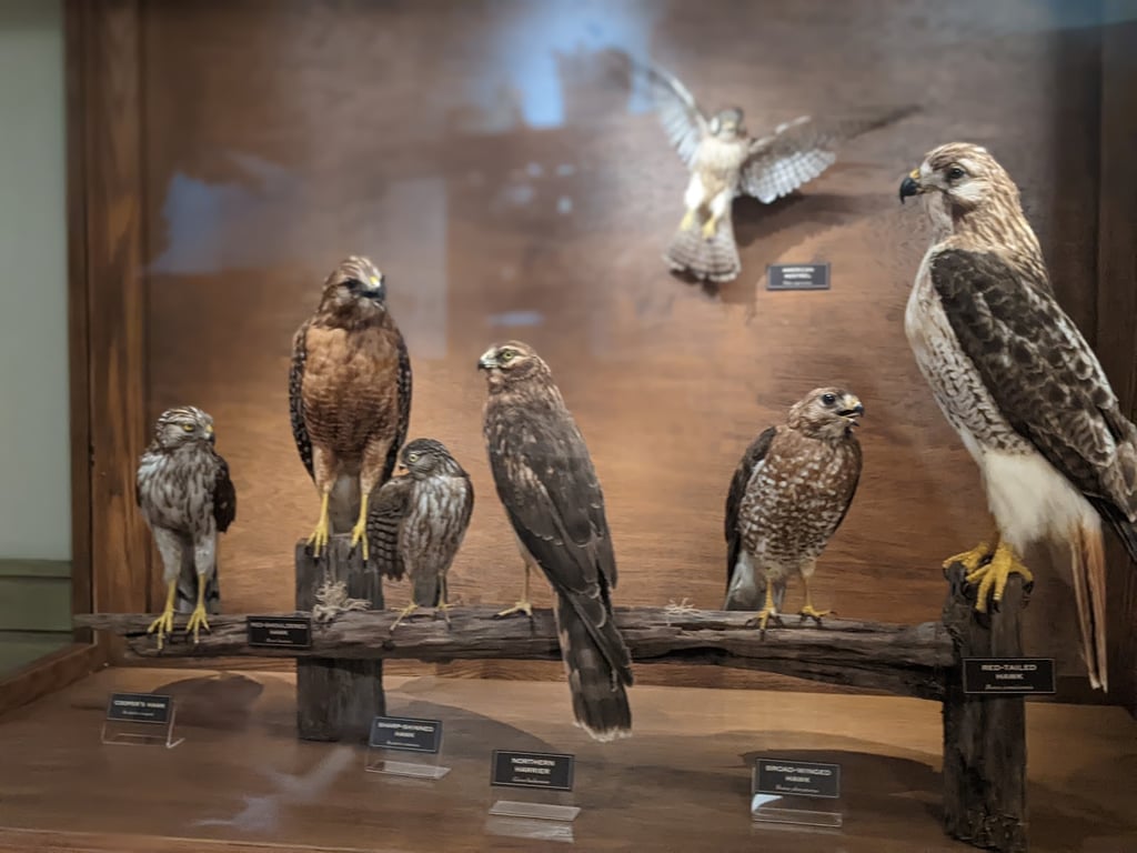 Cook’s Natural Science Museum