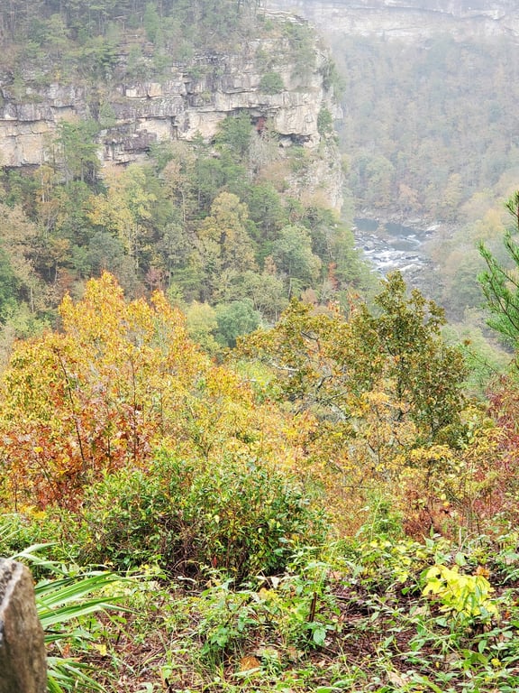 Eberhart Point