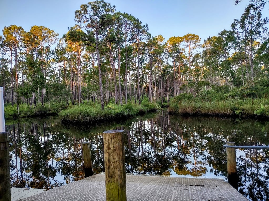 Graham Creek Nature Preserve