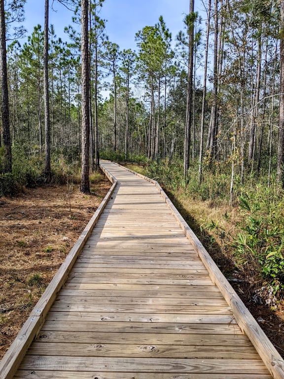 Graham Creek Nature Preserve