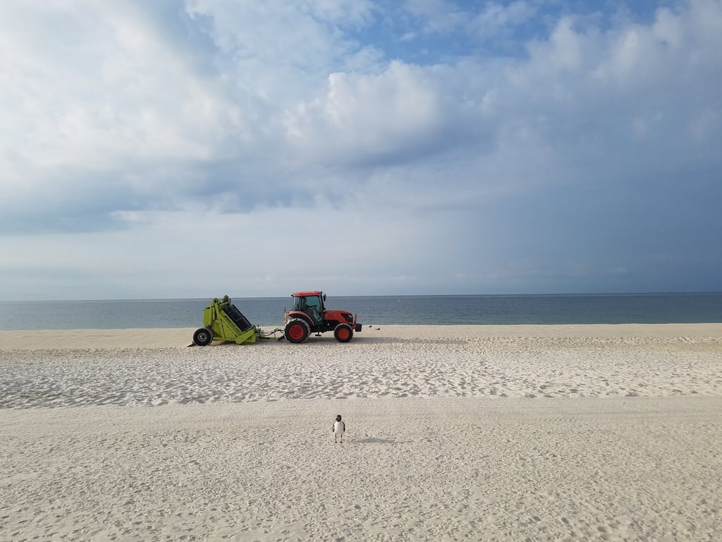 Gulf Shores Public Beach