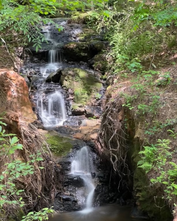 Kreher Preserve & Nature Center
