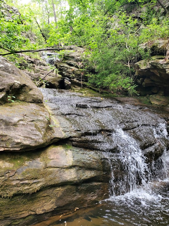 Moss Rock Preserve