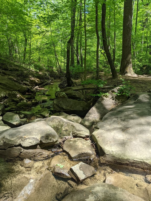 Moss Rock Preserve