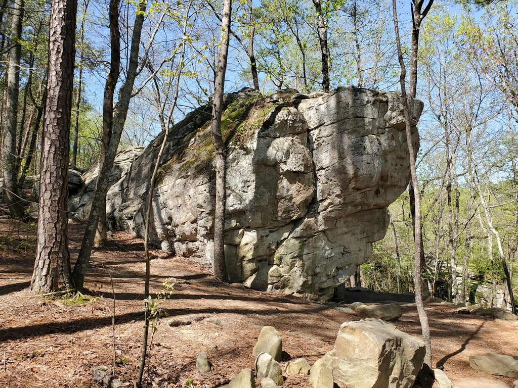 Moss Rock Preserve