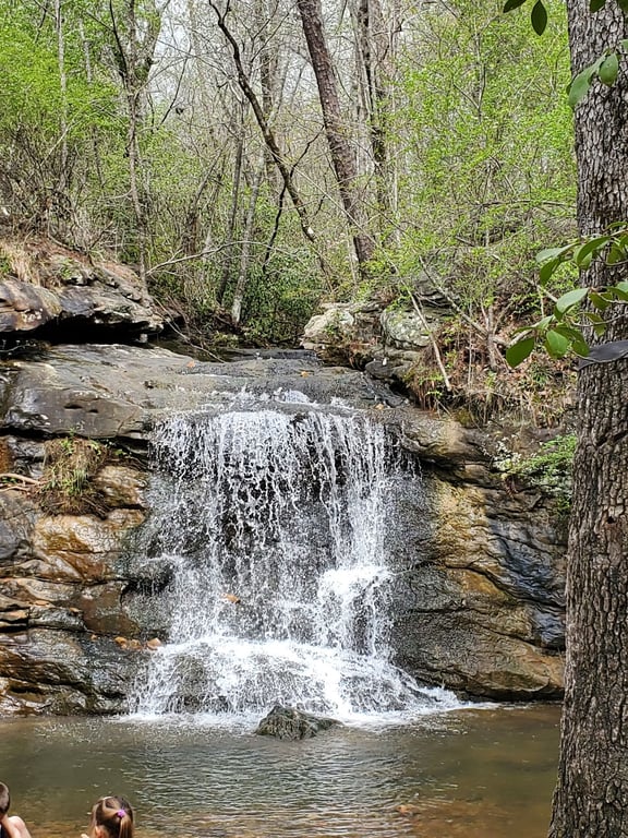 Moss Rock Preserve
