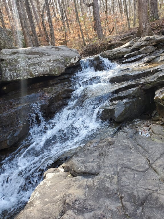 Moss Rock Preserve