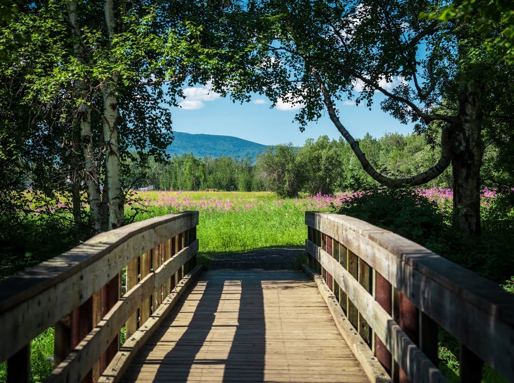 Creamer's Field