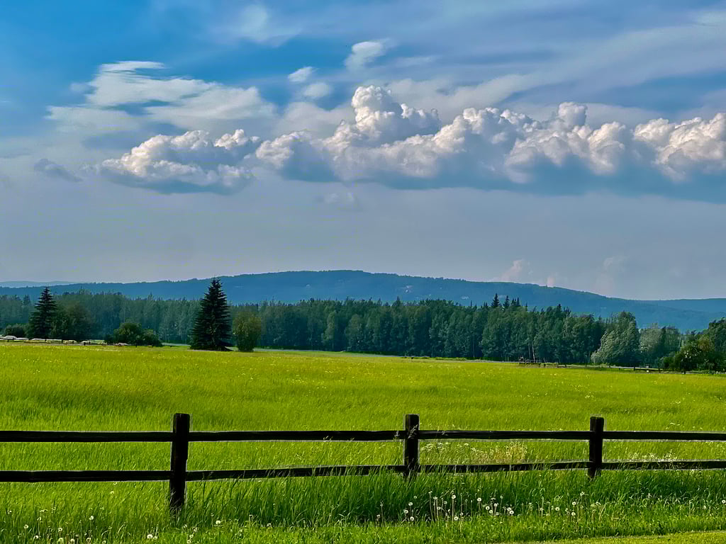 Creamer's Field