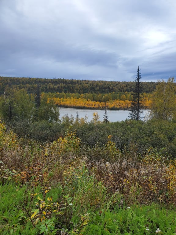 Denali South Viewpoint
