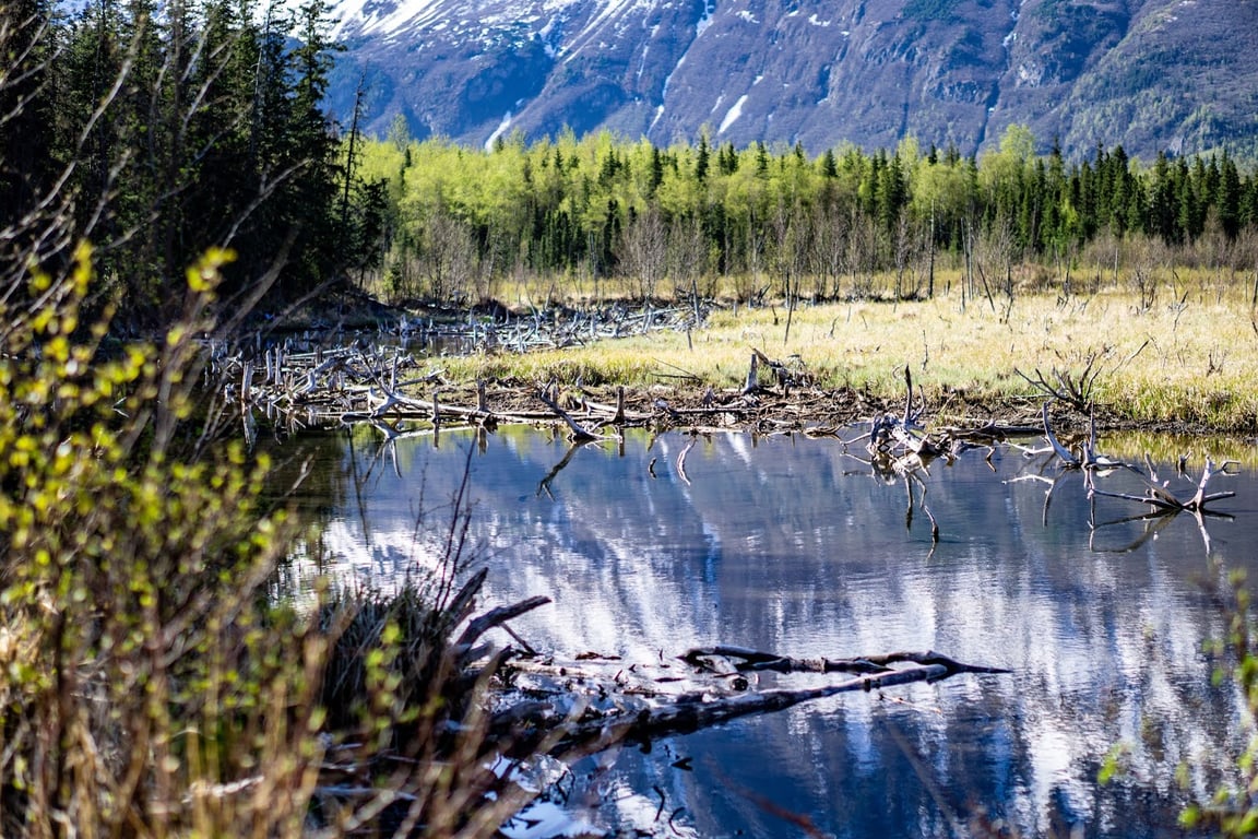 Eagle River Nature Center