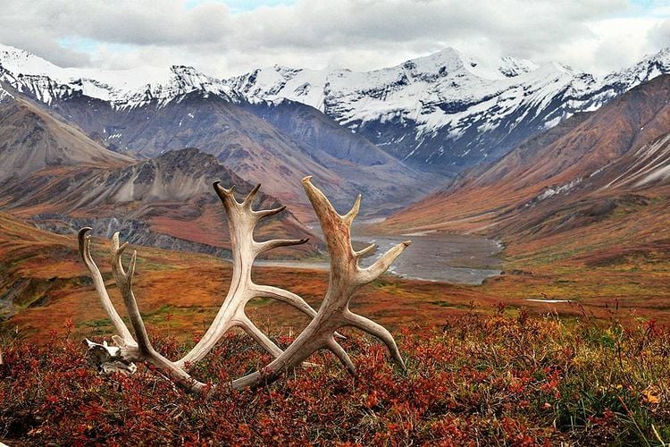 Eielson Visitor Center